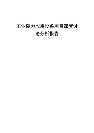 2025年工业磁力应用设备项目深度研究分析报告