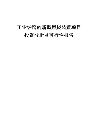 2025年工业炉窑的新型燃烧装置项目投资分析及可行性报告