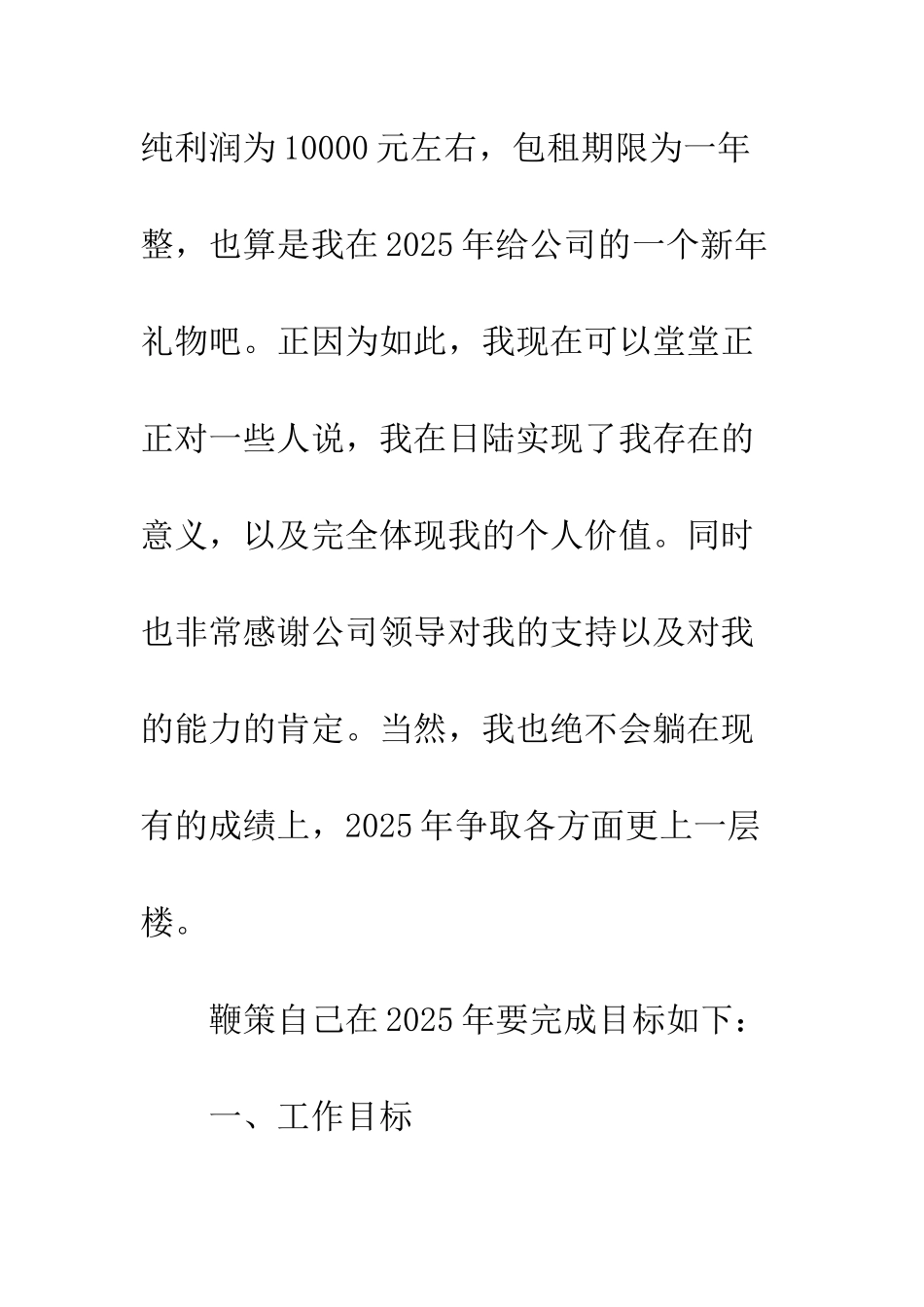 2025年工作总结以及2025年展望_第3页