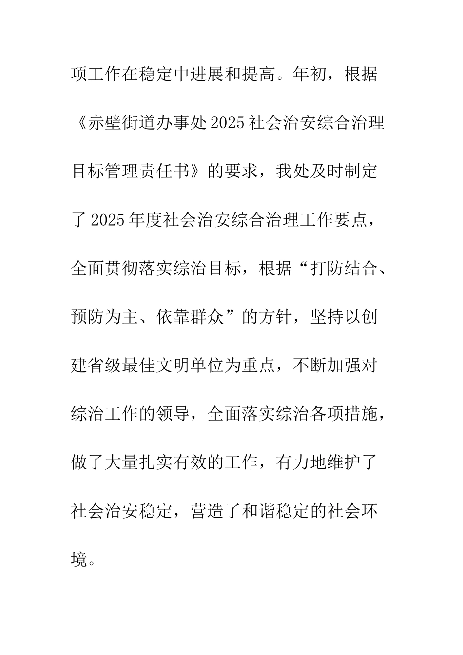 2025年市征稽处社会治安综合治理工作总结_第2页