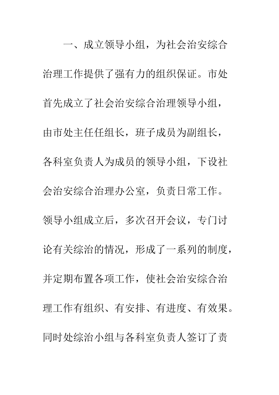 2025年市征稽处社会治安综合治理工作总结_第3页