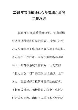 2025年市征稽处社会治安综合治理工作总结