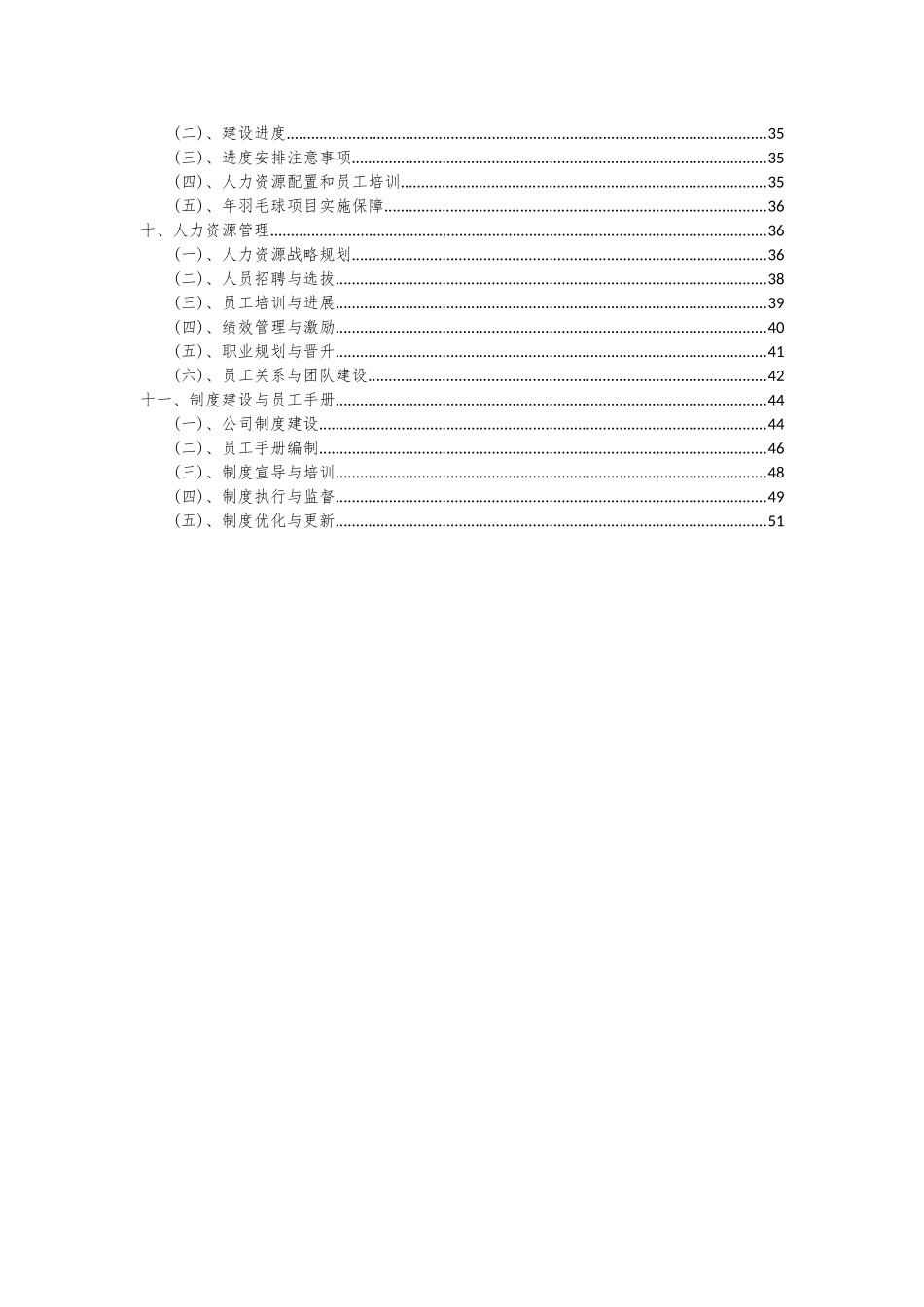2025年年羽毛球项目深度研究分析报告_第3页