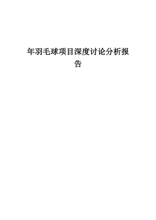 2025年年羽毛球项目深度研究分析报告