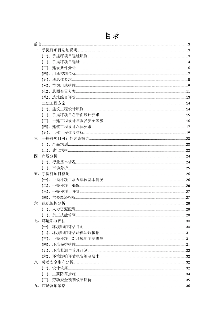 2025年手提秤项目深度研究分析报告_第2页