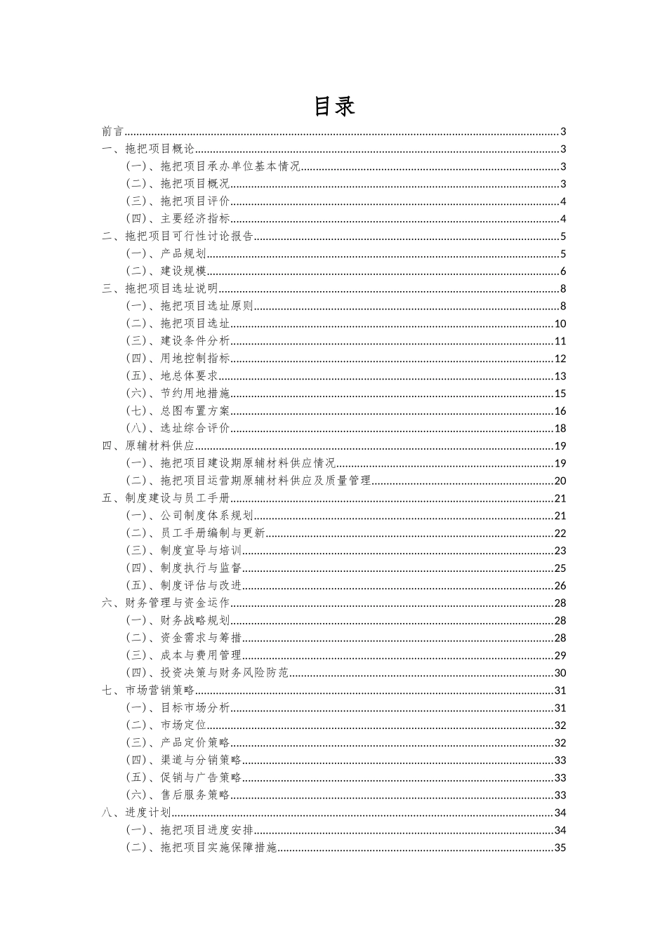 2025年拖把项目深度研究分析报告_第2页