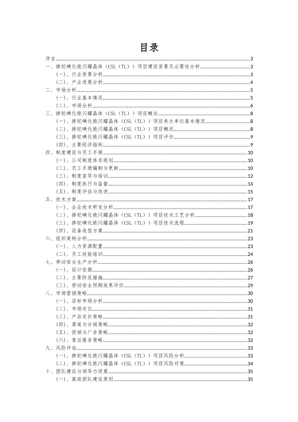 2025年掺铊碘化铯闪烁晶体项目可行性分析报告_第2页