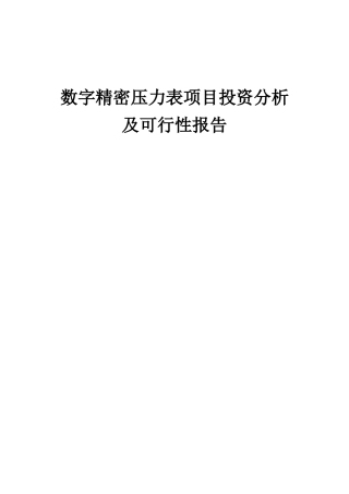 2025年数字精密压力表项目投资分析及可行性报告