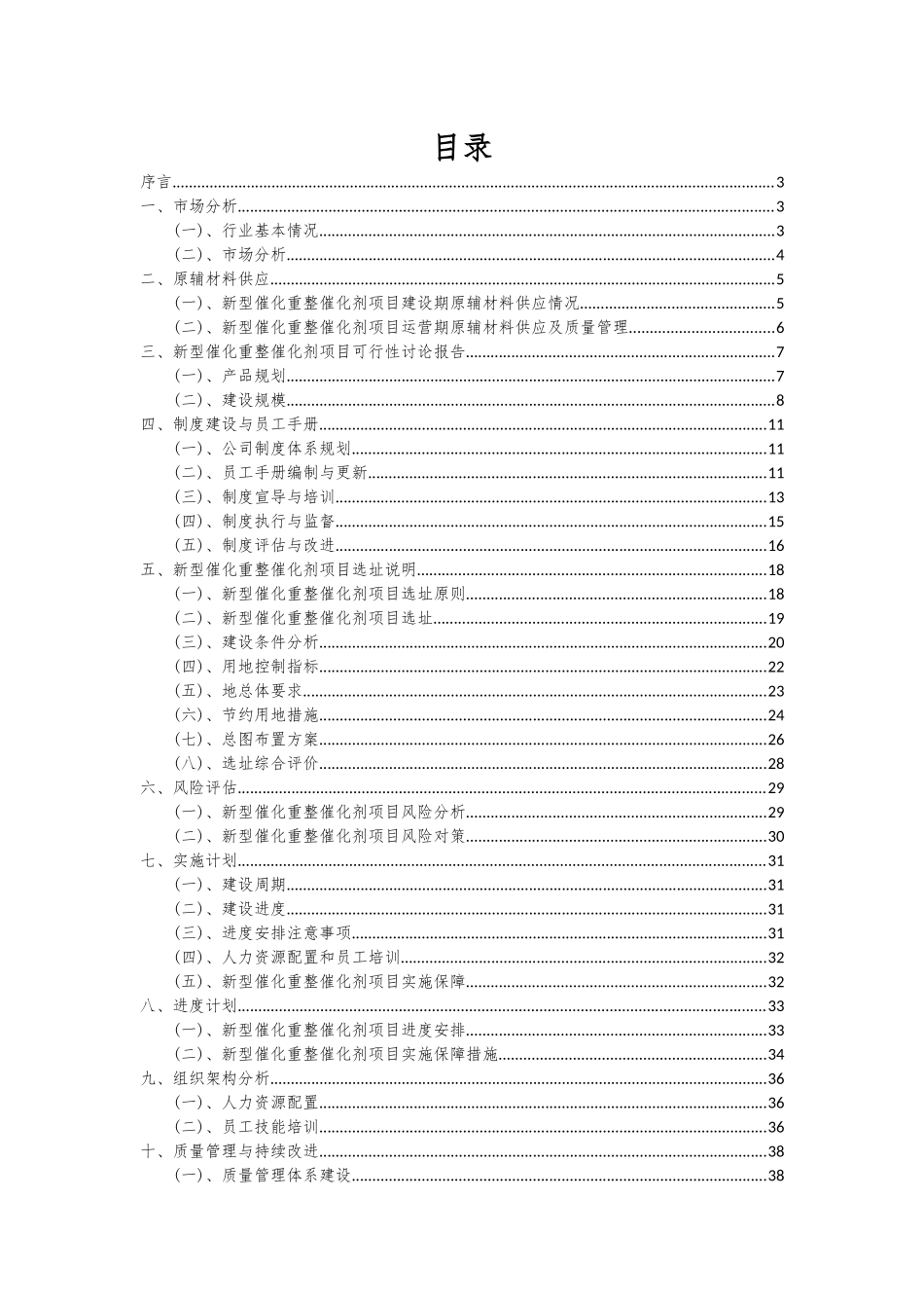 2025年新型催化重整催化剂项目可行性研究报告_第2页