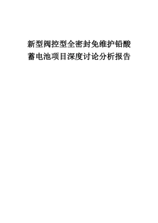 2025年新型阀控型全密封免维护铅酸蓄电池项目深度研究分析报告