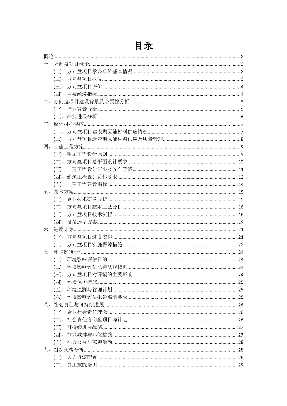 2025年方向盘项目可行性研究报告_第2页