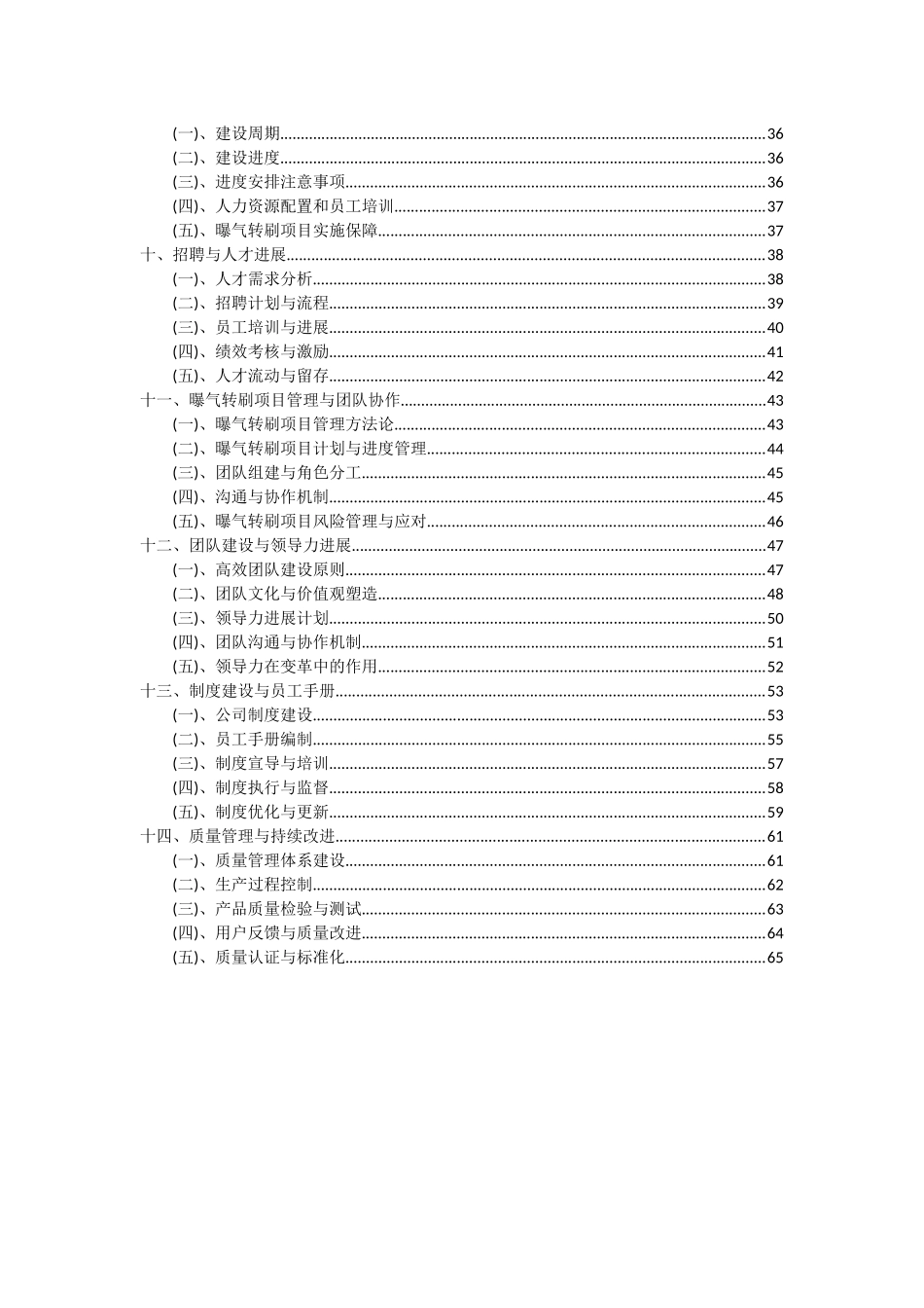 2025年曝气转刷项目深度研究分析报告_第3页