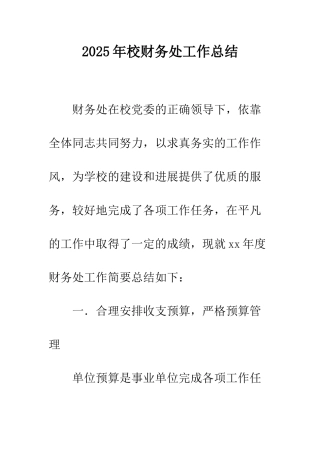 2025年校财务处工作总结