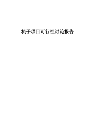 2025年梳子项目可行性研究报告