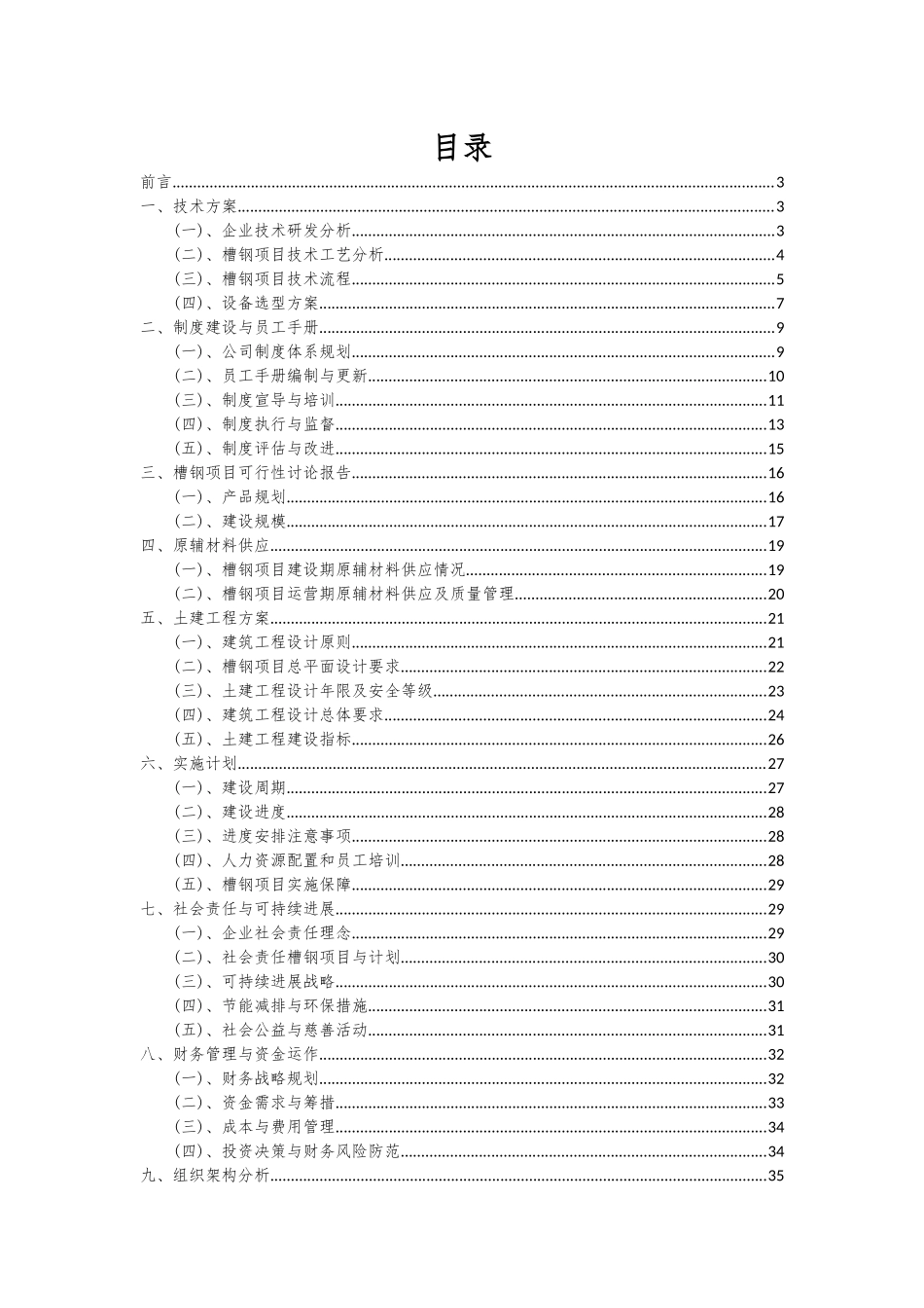 2025年槽钢项目可行性研究报告_第2页