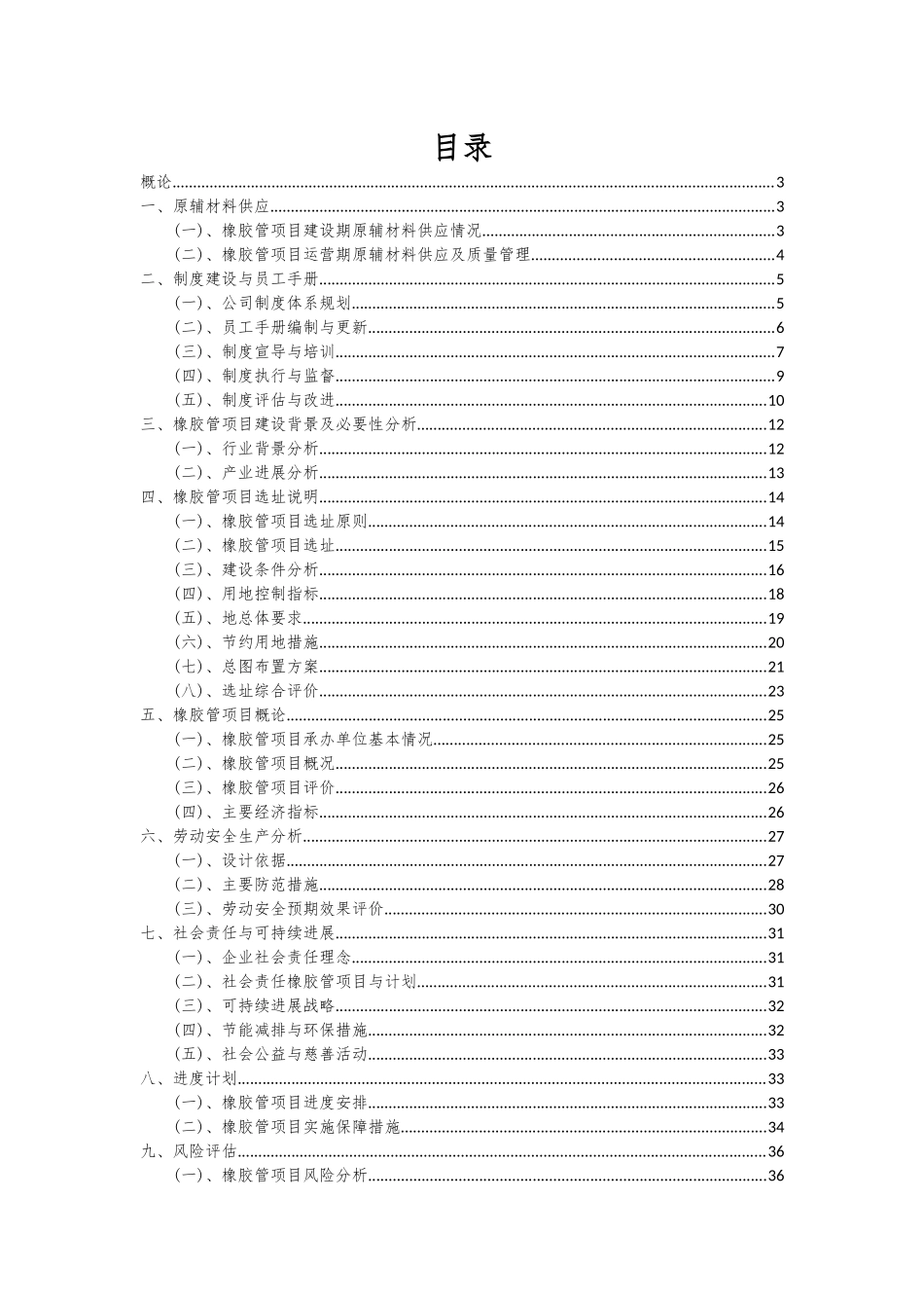 2025年橡胶管项目可行性研究报告_第2页