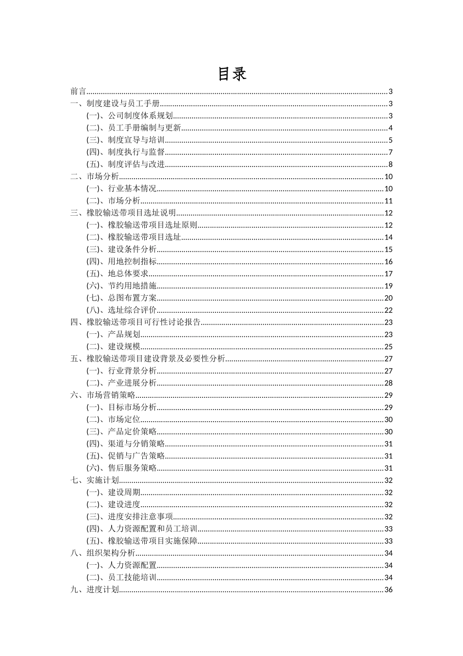 2025年橡胶输送带项目深度研究分析报告_第2页