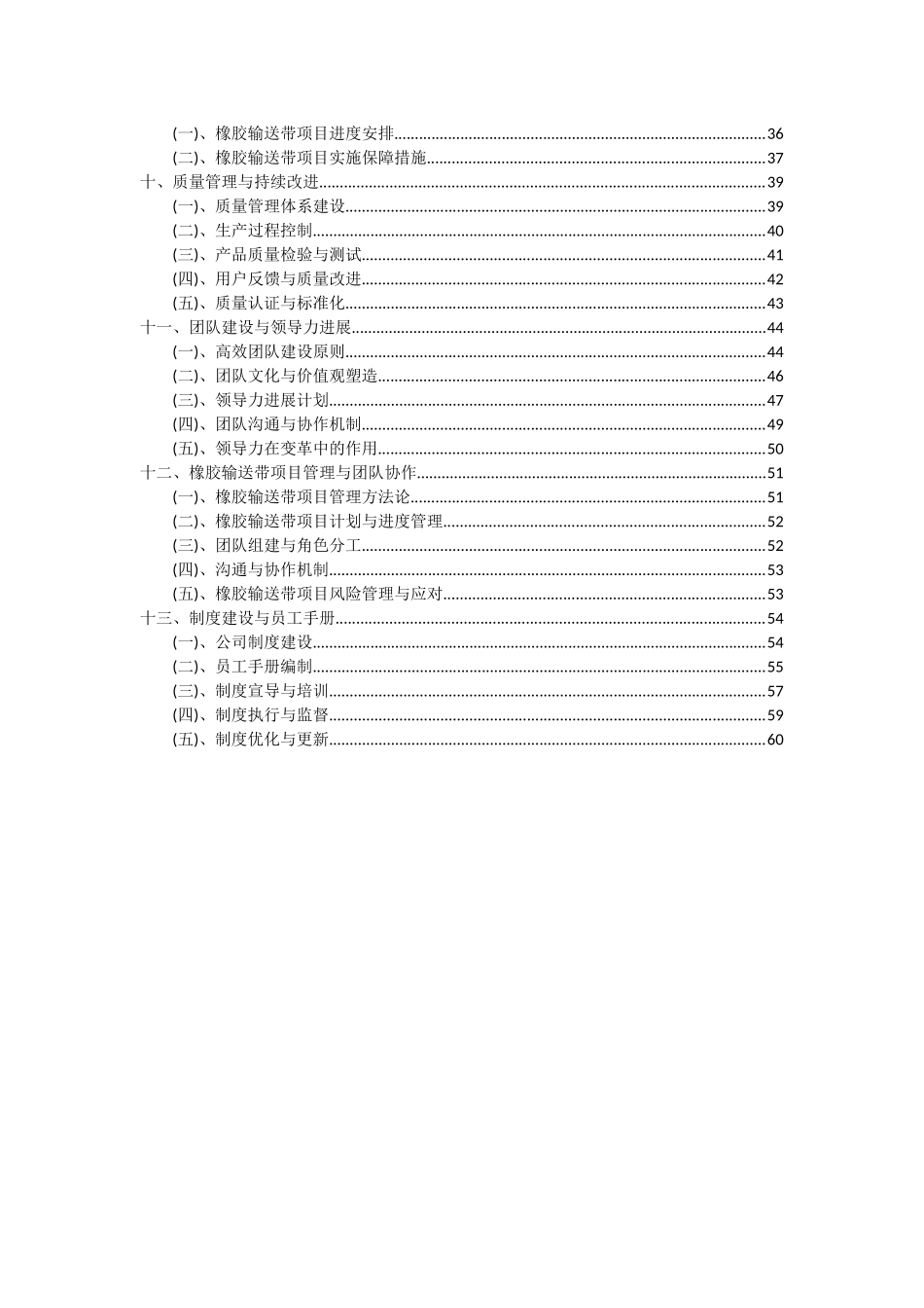 2025年橡胶输送带项目深度研究分析报告_第3页