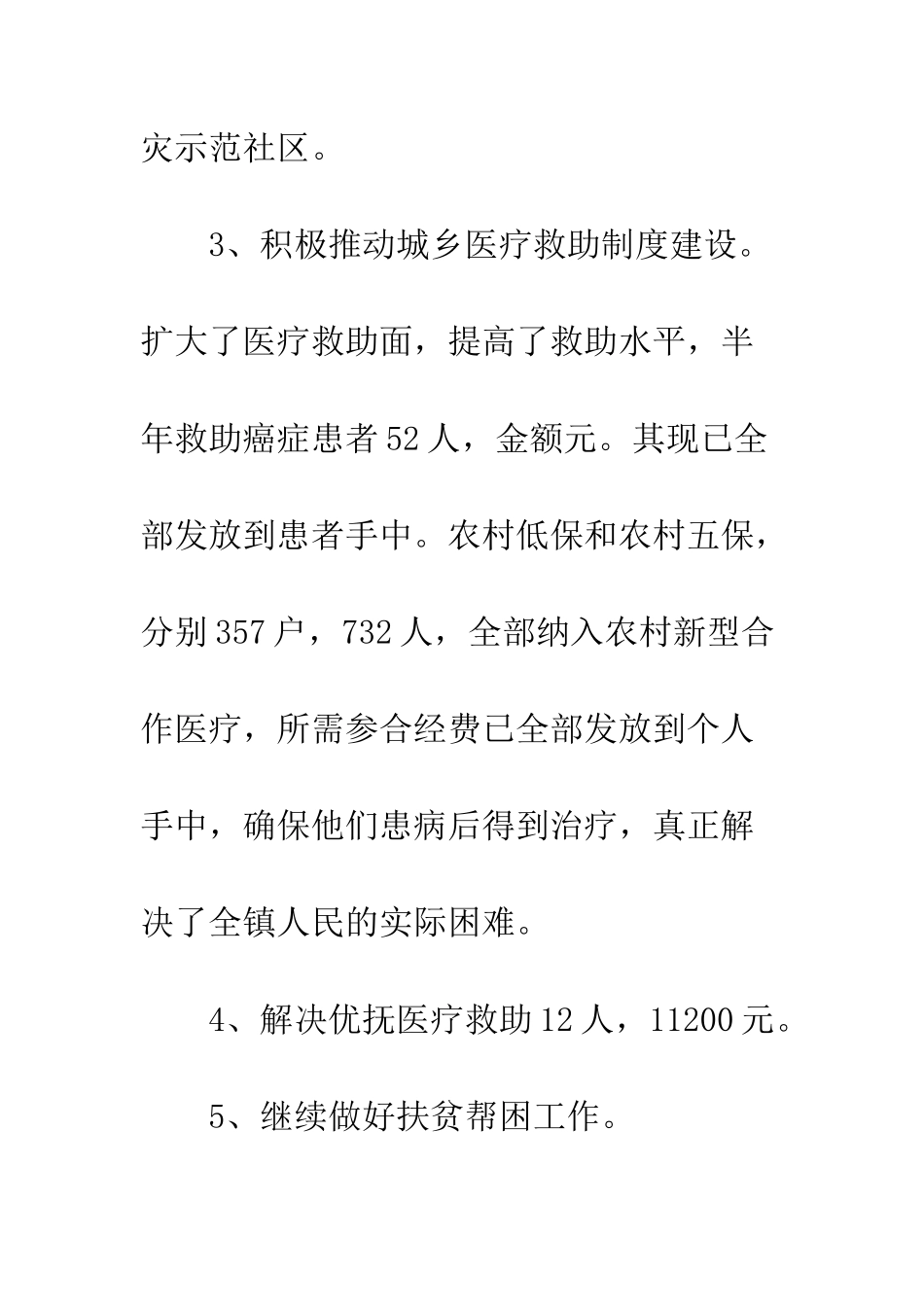 2025年民政工作总结_第2页