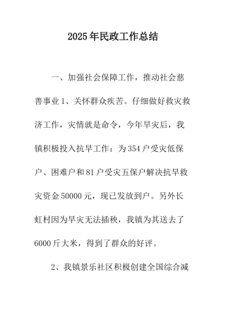 2025年民政工作总结