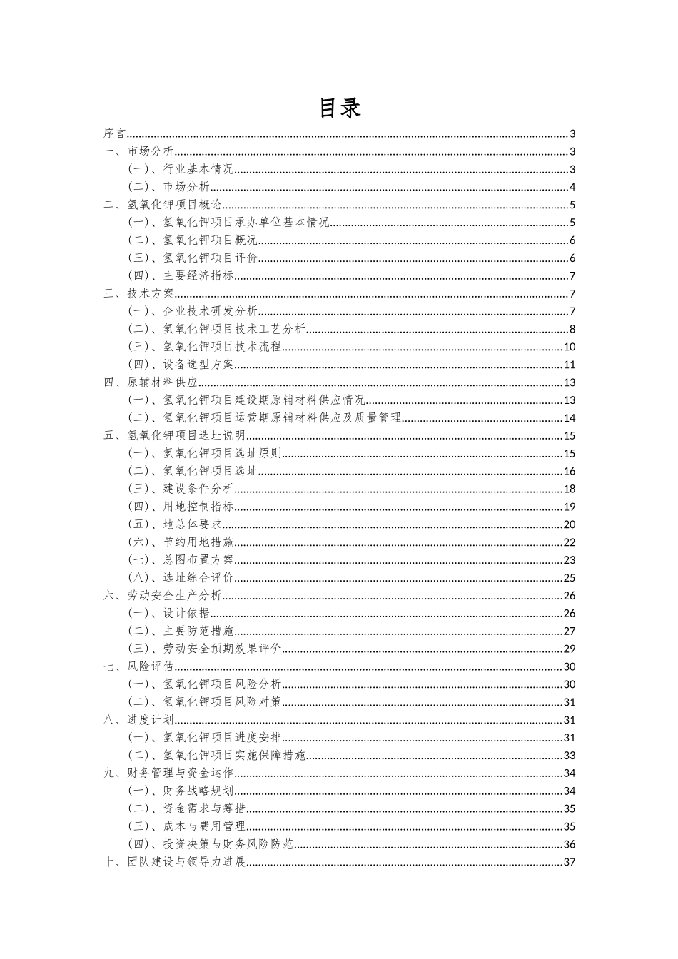 2025年氢氧化钾项目可行性分析报告_第2页