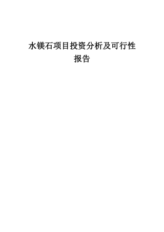2025年水镁石项目投资分析及可行性报告