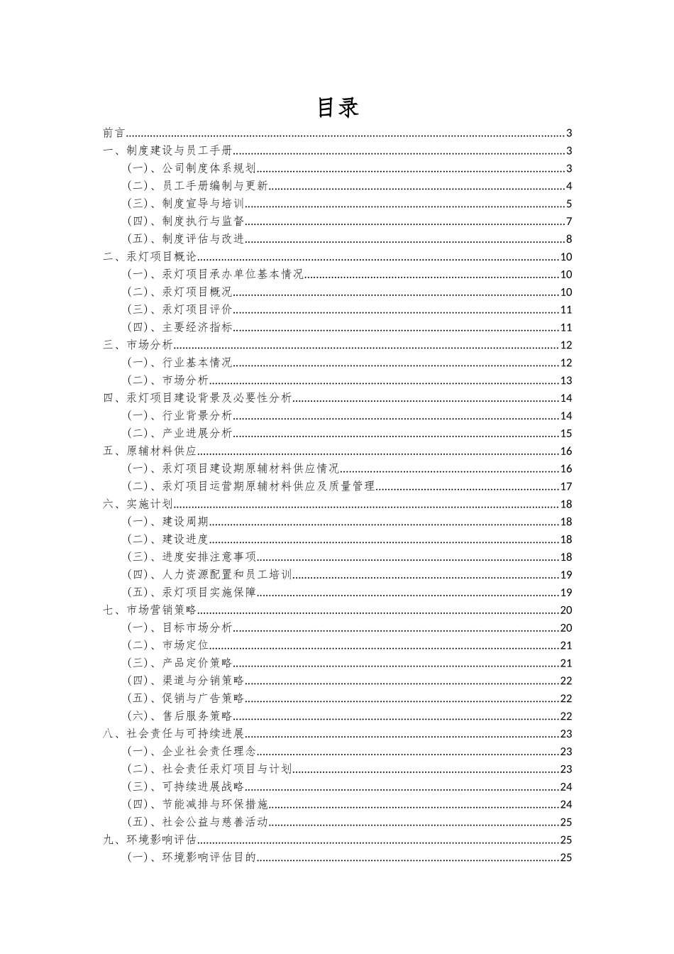 2025年汞灯项目可行性研究报告_第2页
