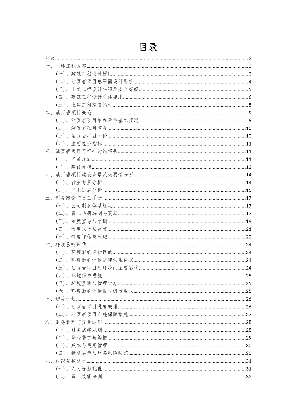 2025年油页岩项目深度研究分析报告_第2页