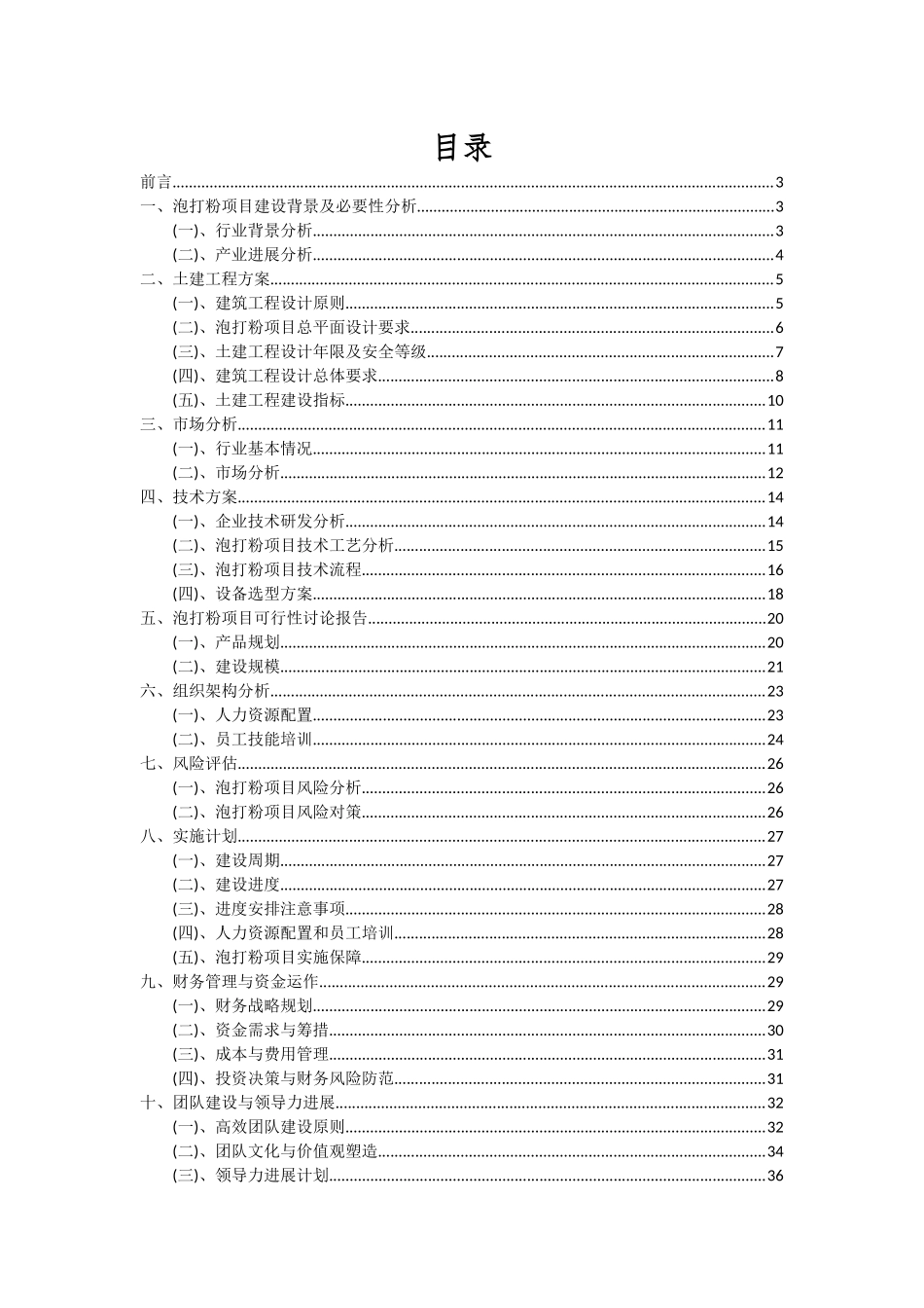 2025年泡打粉项目可行性分析报告_第2页