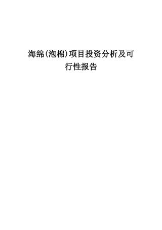 2025年海绵项目投资分析及可行性报告