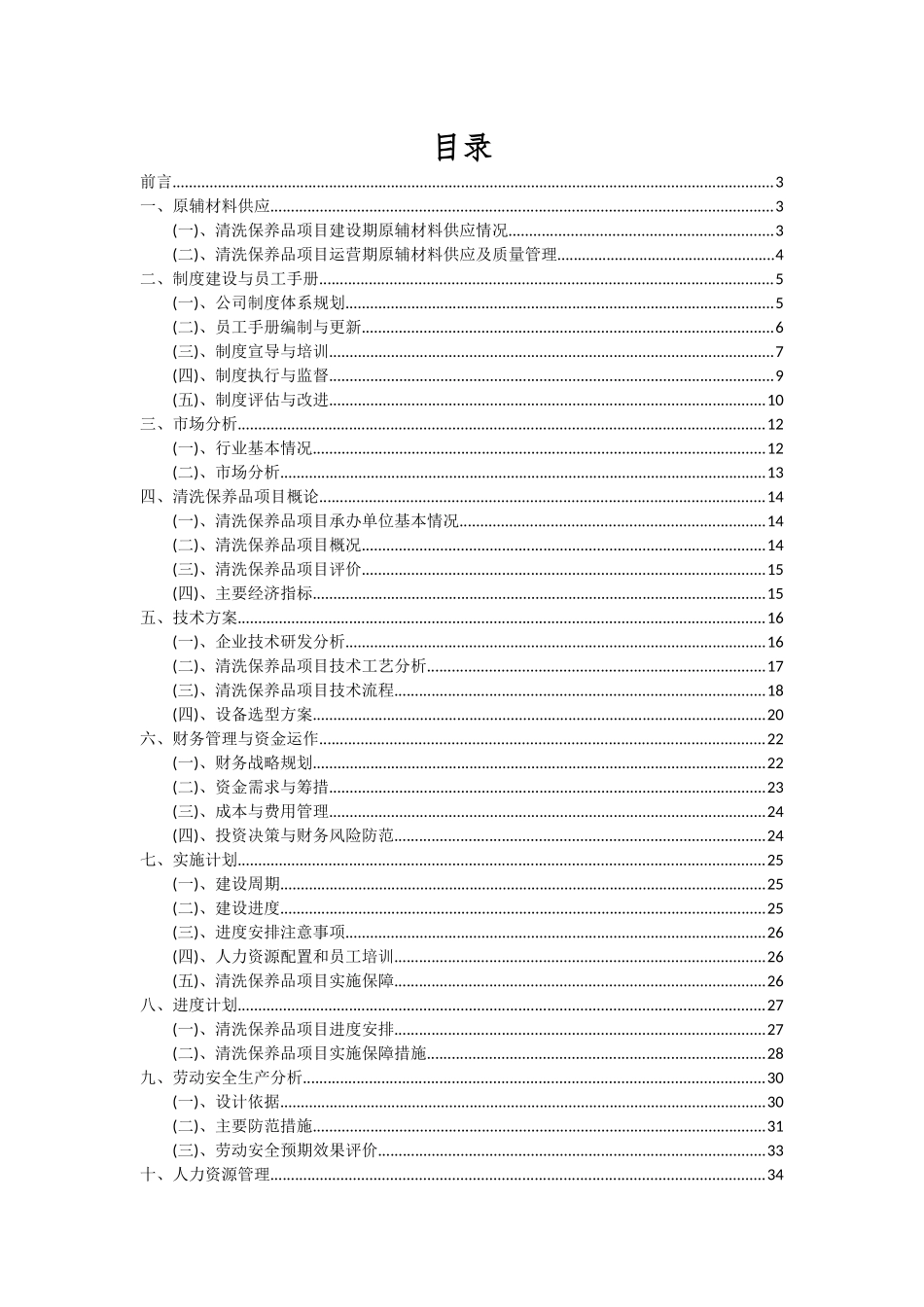2025年清洗保养品项目可行性分析报告_第2页