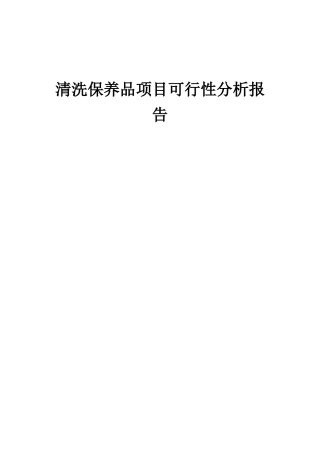 2025年清洗保养品项目可行性分析报告