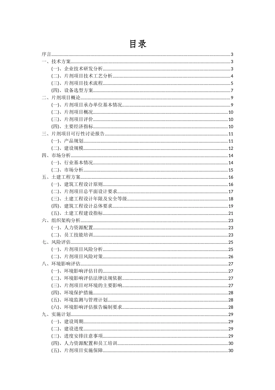 2025年片剂项目可行性研究报告_第2页