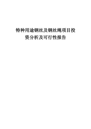 2025年特种用途钢丝及钢丝绳项目投资分析及可行性报告
