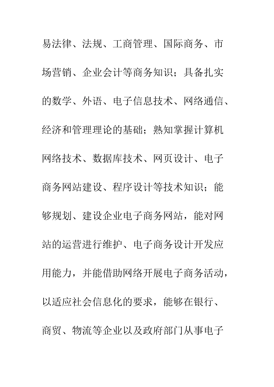 2025年电子商务专业教学计划_第2页