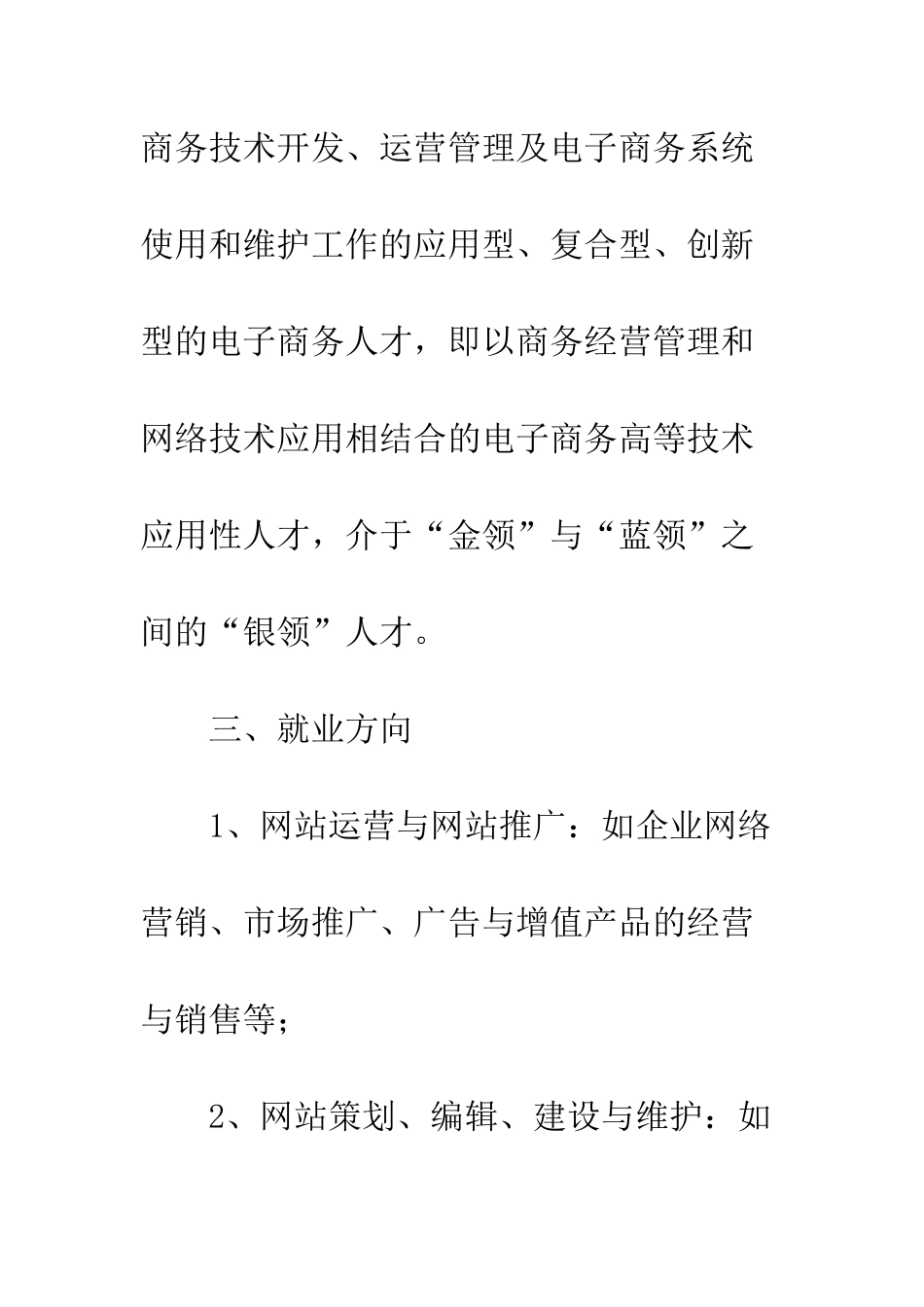 2025年电子商务专业教学计划_第3页