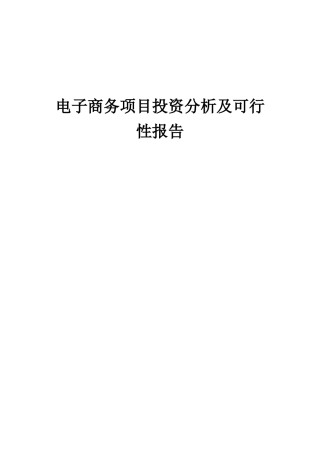 2025年电子商务项目投资分析及可行性报告