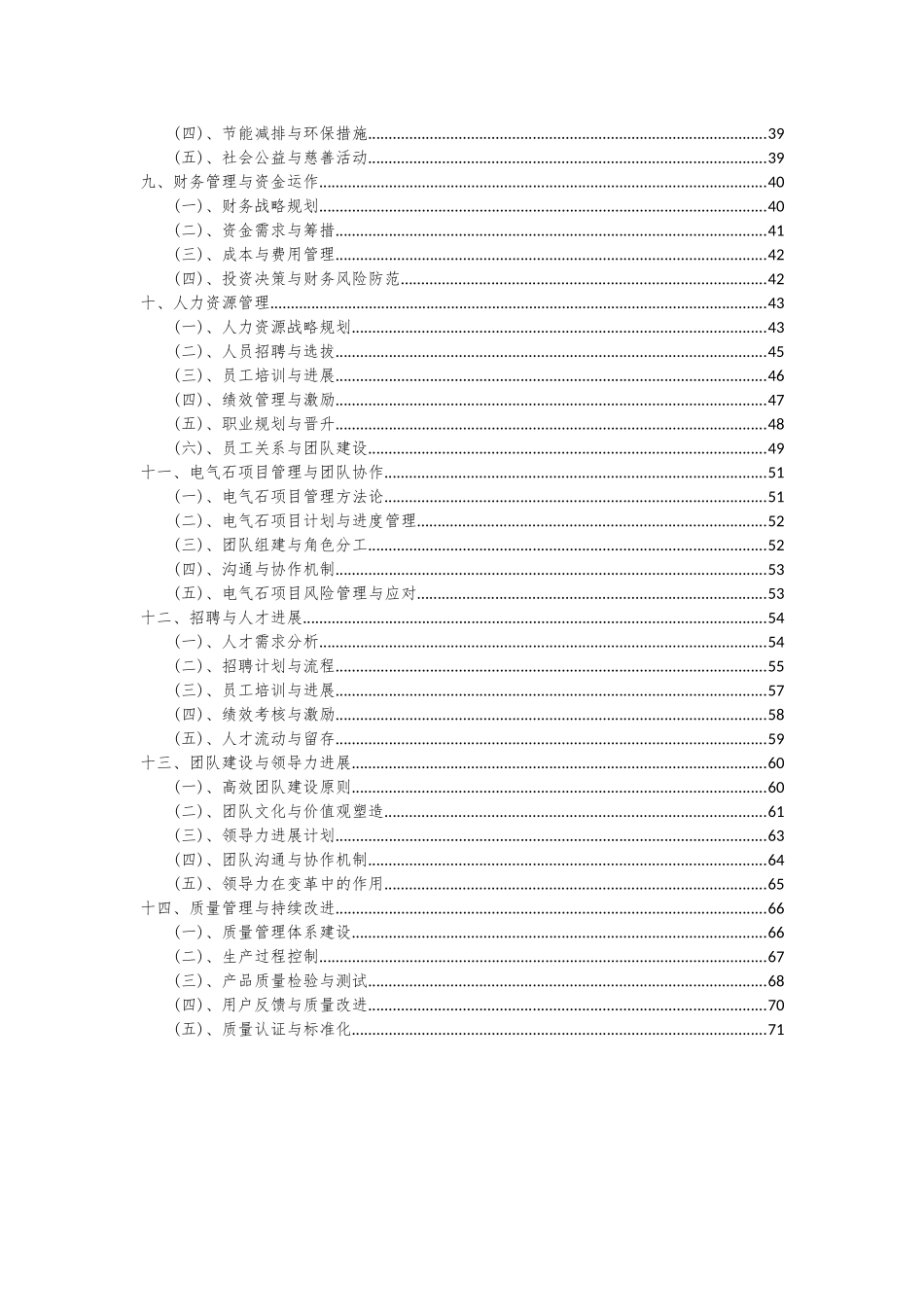 2025年电气石项目可行性研究报告_第3页