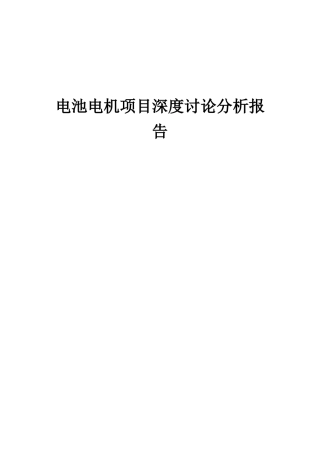 2025年电池电机项目深度研究分析报告