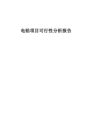 2025年电铅项目可行性分析报告