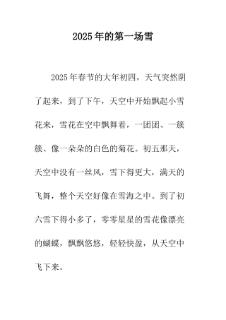 2025年的第一场雪-1