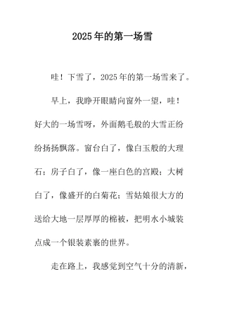 2025年的第一场雪-3