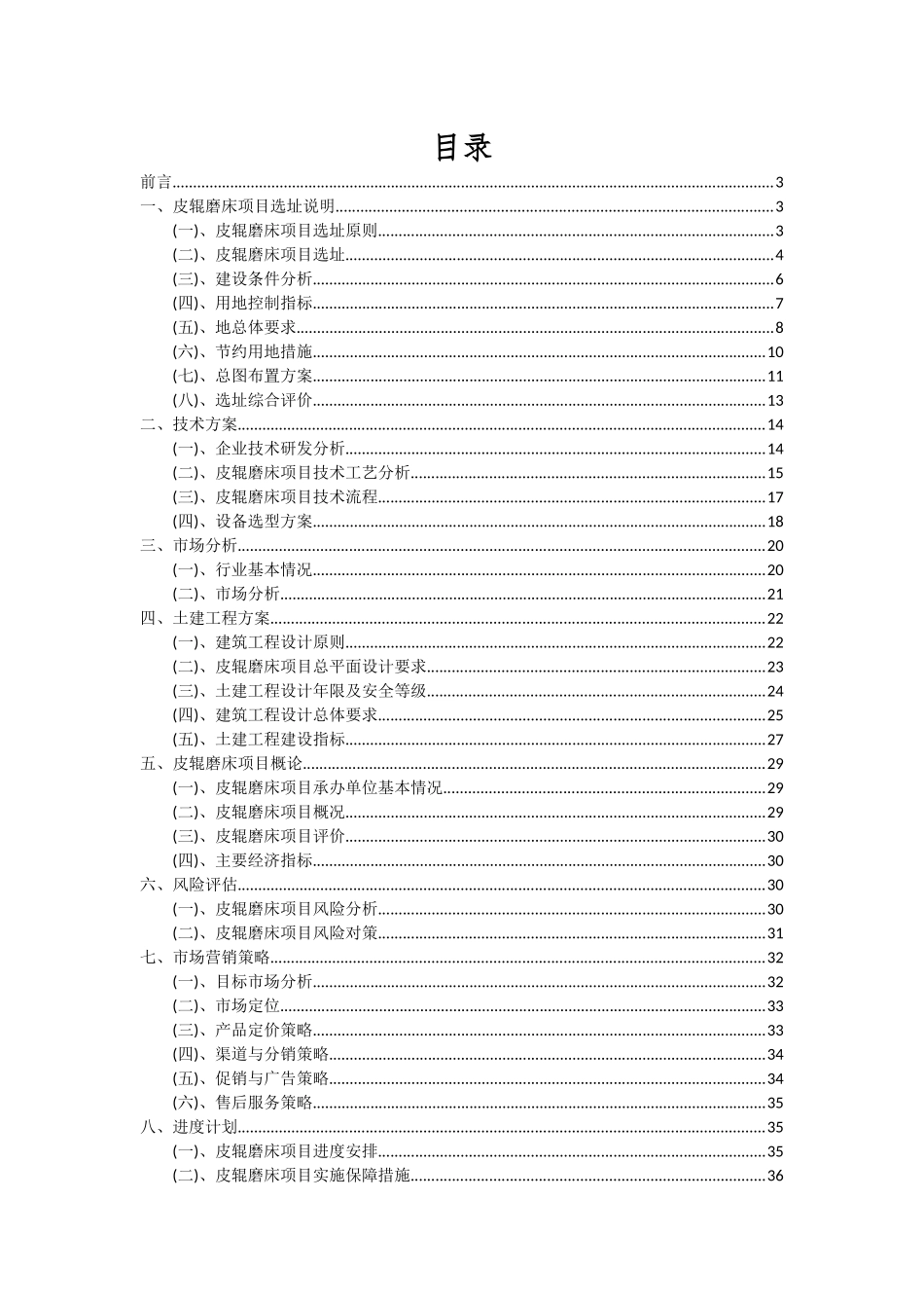 2025年皮辊磨床项目可行性研究报告_第2页