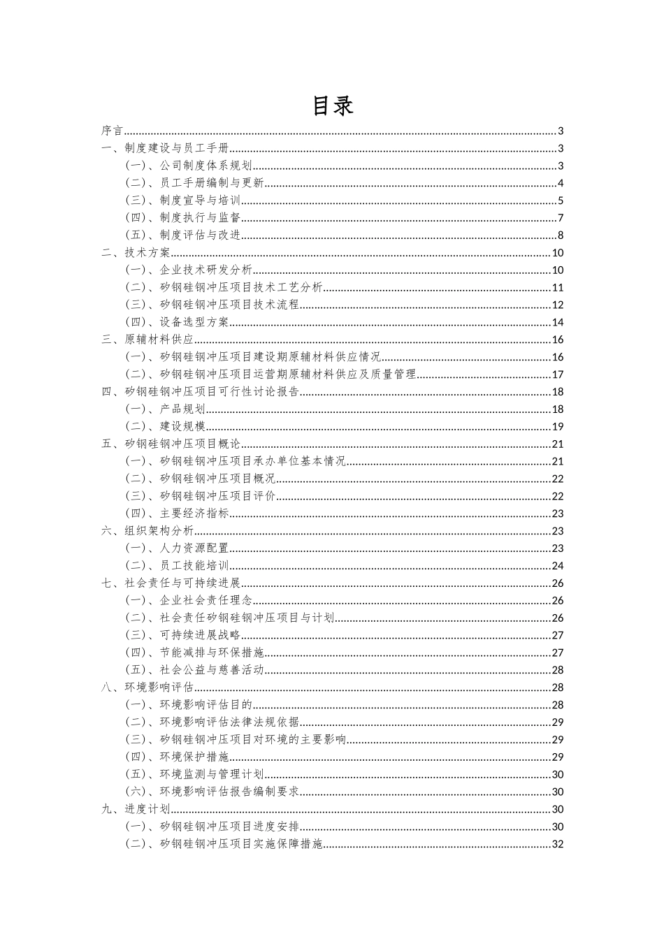 2025年矽钢硅钢冲压项目可行性研究报告_第2页