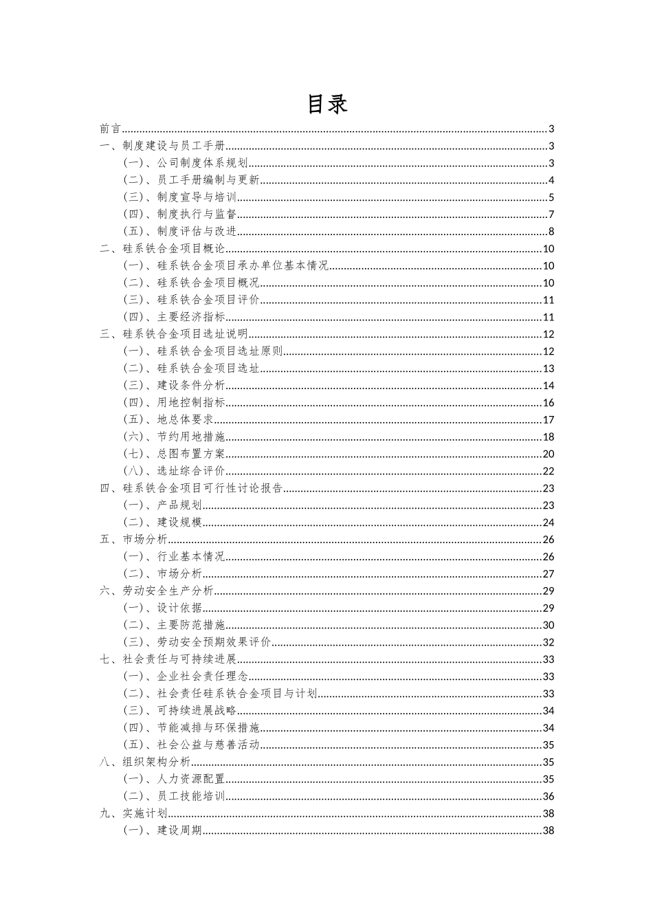 2025年硅系铁合金项目投资分析及可行性报告_第2页