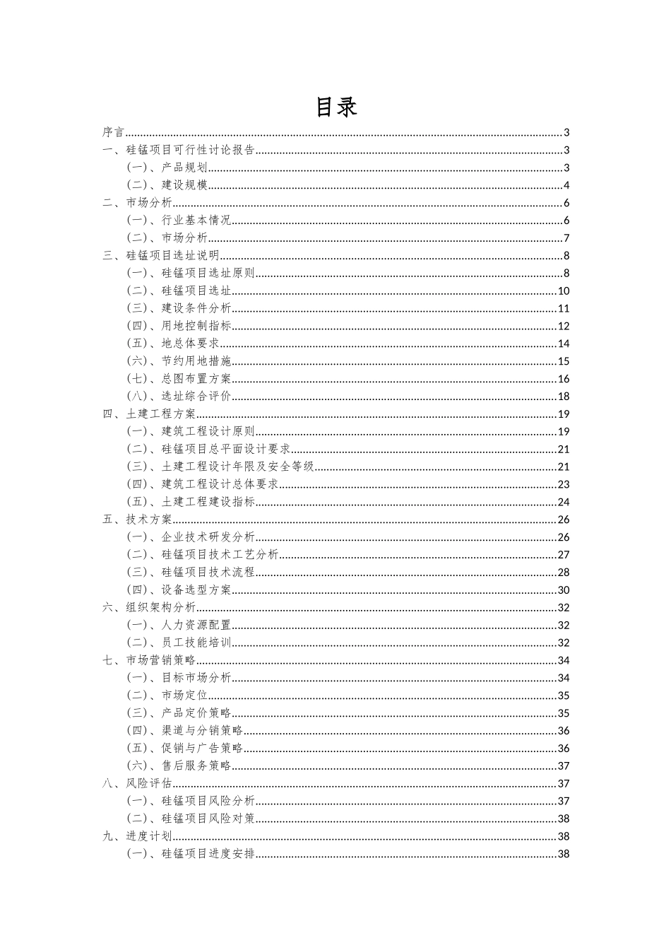 2025年硅锰项目可行性分析报告_第2页