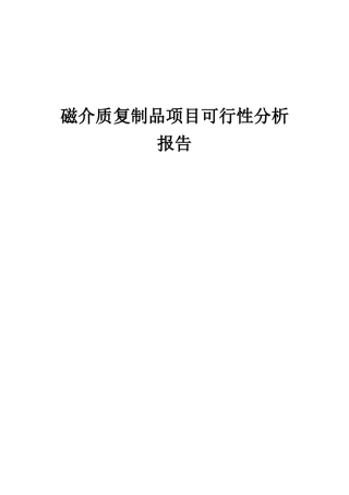 2025年磁介质复制品项目可行性分析报告