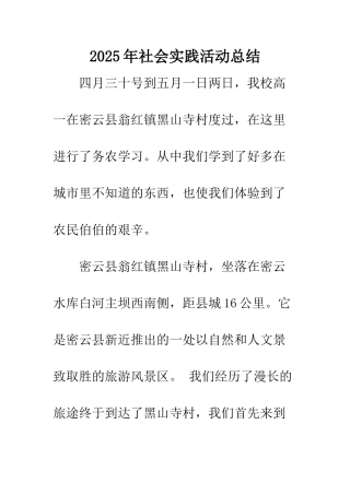 2025年社会实践活动总结