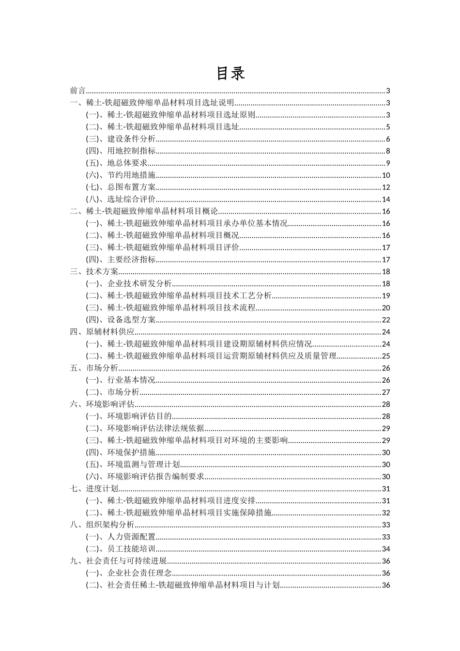 2025年稀土-铁超磁致伸缩单晶材料项目可行性分析报告_第2页