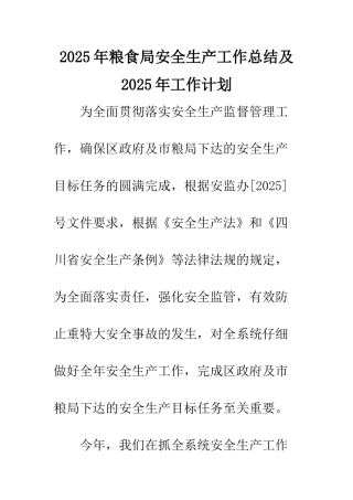 2025年粮食局安全生产工作总结及2025年工作计划